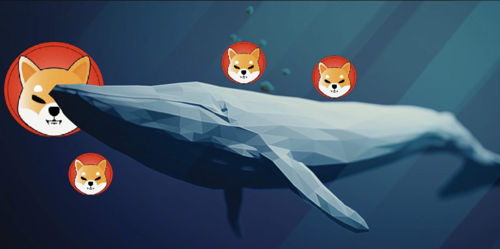  نهنگ‌های شیبا