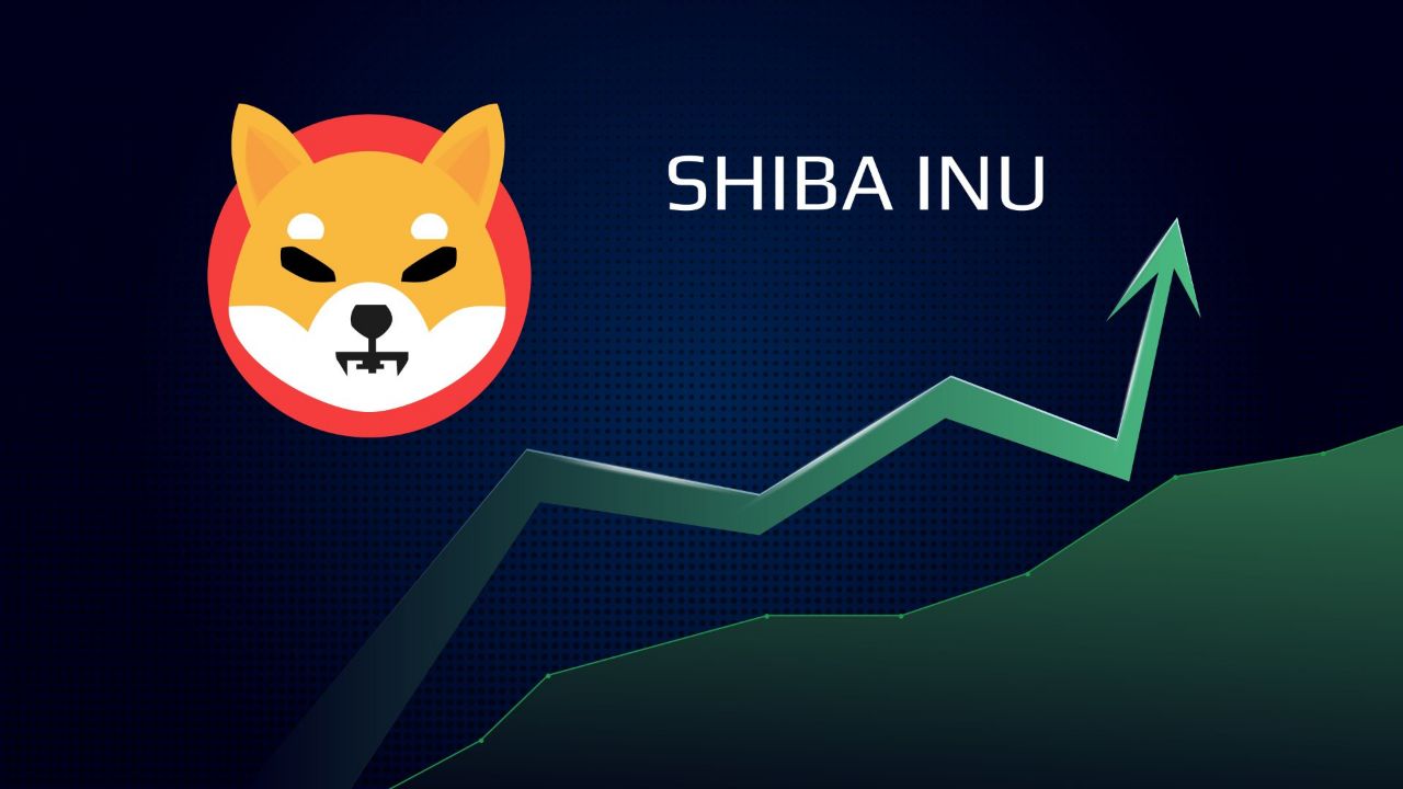 215% increase in the activity of Shiba whales